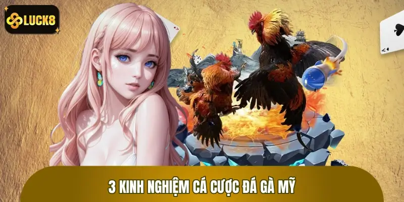 3 kinh nghiệm cá cược đá gà Mỹ bất bại từ sư kê lâu năm 3 kinh nghiệm cá cược đá gà Mỹ bất bại từ sư kê lâu năm
