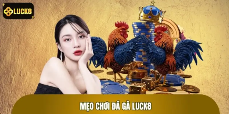 Bật mí các mẹo chơi chọi kê hay từ cao thủ