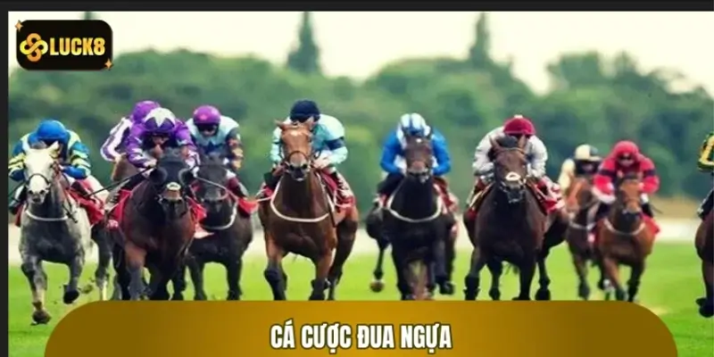 Cá Cược Đua Ngựa: Cách Chơi và Dự Đoán Đúng Kết Quả