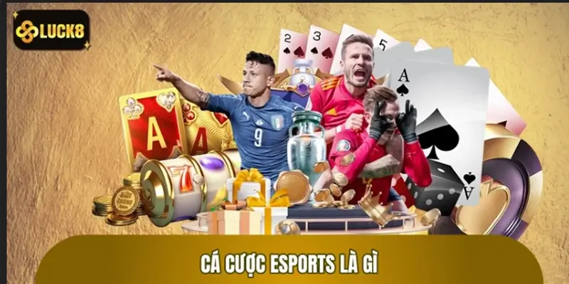 Cá cược Esports Luck8 - LMHT Dota2 CS2 Valorant Cá cược Esports Luck8 - LMHT Dota2 CS2 Valorant