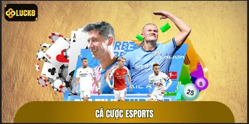 Cá Cược Esports: Những Mẹo Chơi và Lựa Chọn Trận Đấu Đúng