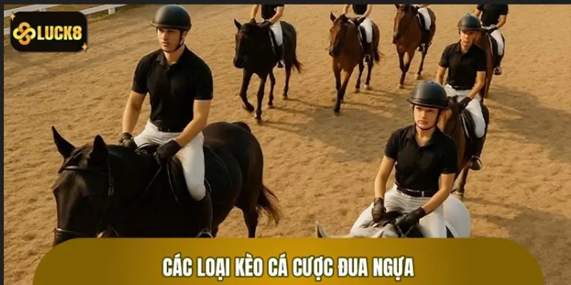 Các loại kèo đua ngựa phổ biến – Biết là đặt chuẩn Các loại kèo đua ngựa phổ biến – Biết là đặt chuẩn
