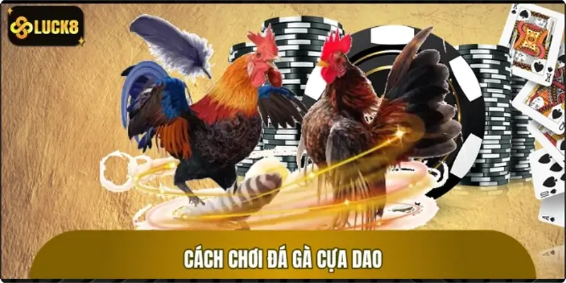Cách chơi đúng nhất của đá gà cựa dao