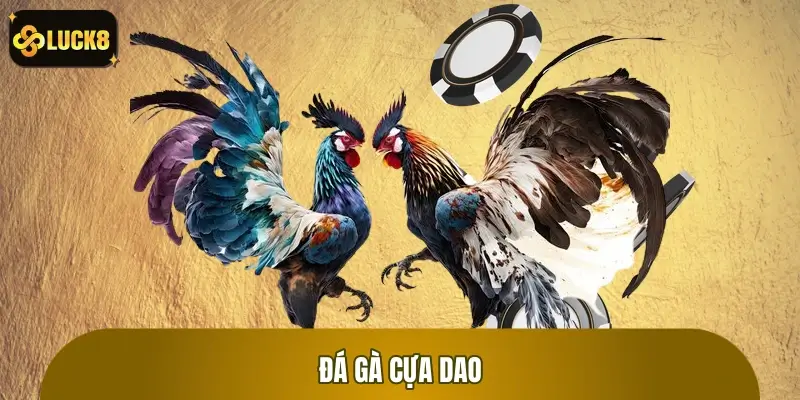Đá Gà Cựa Dao: Kỹ Thuật Chọi Gà Đỉnh Cao, Làm Chủ Mọi Trận