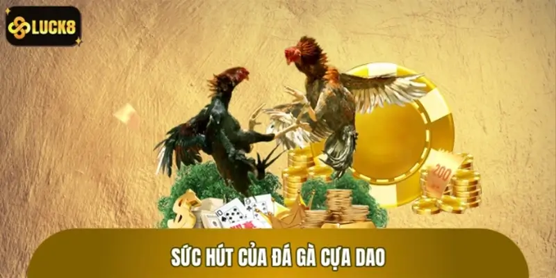Đá gà cựa dao – Sức hút mãnh liệt trong văn hóa giải trí