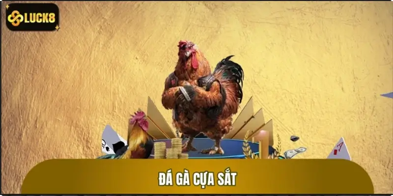 Đá Gà Cựa Sắt: Đối Đầu Kinh Điển, Trải Nghiệm Đầy Hồi Hộp