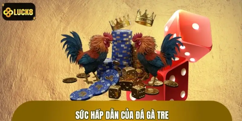 Đá gà tre và sự hấp dẫn trong cá cược hiện đại Đá gà tre và sự hấp dẫn trong cá cược hiện đại