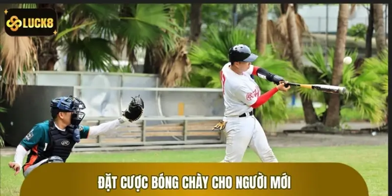 Đặt cược bóng chày cho người mới: Dễ mà hiệu quả Đặt cược bóng chày cho người mới: Dễ mà hiệu quả