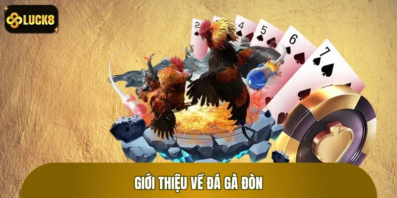 Đá Gà Đòn - Cuộc Chiến Thót Tim, Bùng Nổ Kịch Tính, Sôi Động Đá Gà Đòn - Cuộc Chiến Thót Tim, Bùng Nổ Kịch Tính, Sôi Động