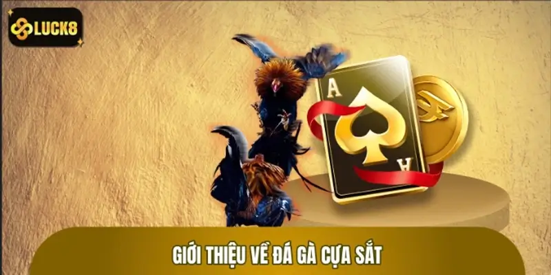 Giới thiệu về trò chơi đá gà cựa sắt quen thuộc