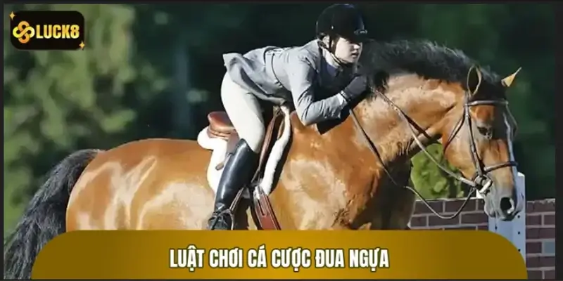 Luật chơi cá cược đua ngựa: Hiểu nhanh trong 3 phút Luật chơi cá cược đua ngựa: Hiểu nhanh trong 3 phút