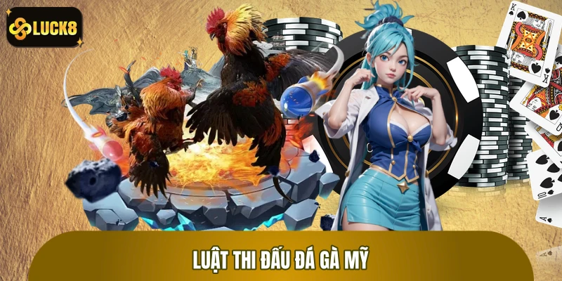 Luật thi đấu đá gà Mỹ tại nhà cái LUCK8 từ A đến Z Luật thi đấu đá gà Mỹ tại nhà cái LUCK8 từ A đến Z