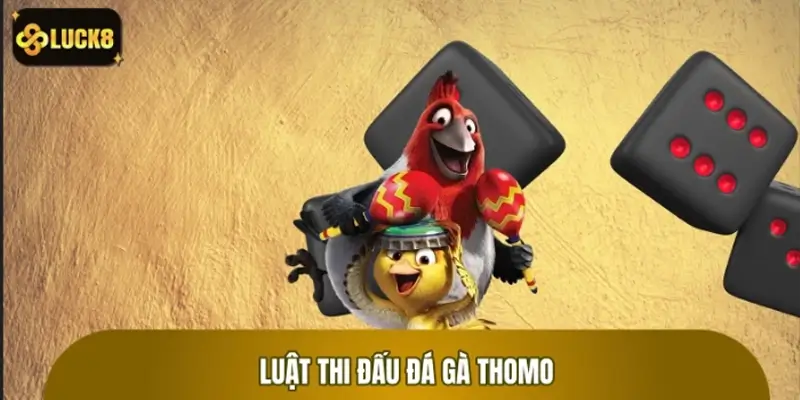Luật thi đấu và thể thức cơ bản trong đá gà Thomo Luật thi đấu và thể thức cơ bản trong đá gà Thomo