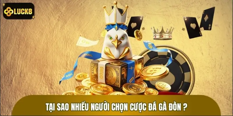 Lý do nhiều người chọn tham gia đá gà đòn tại nhà cái LUCK8 Lý do nhiều người chọn tham gia đá gà đòn tại nhà cái LUCK8