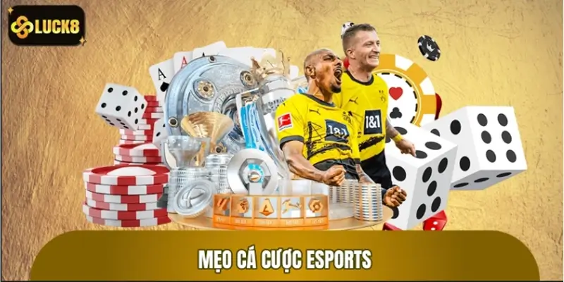 Mẹo cá cược esports giúp bạn đi trước đám đông Mẹo cá cược esports giúp bạn đi trước đám đông