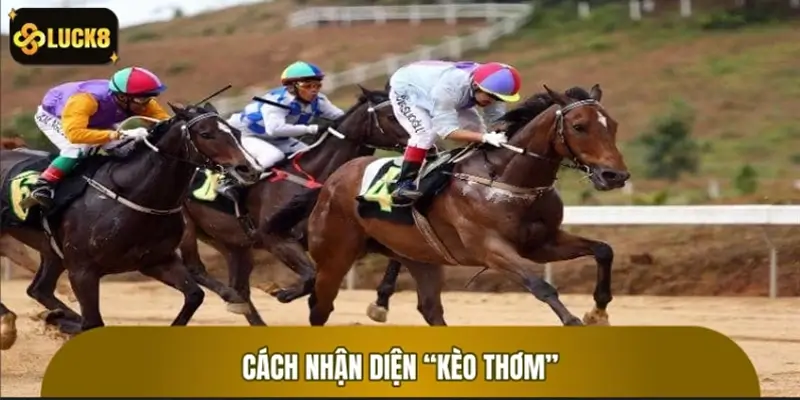 Nên theo kèo nào? Cách nhận diện “kèo thơm” Nên theo kèo nào? Cách nhận diện “kèo thơm”