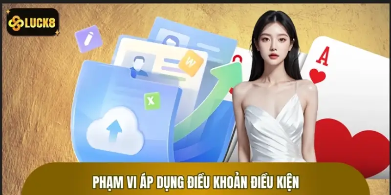 Phạm vi áp dụng điều khoản điều kiện và quyền lợi thành viên