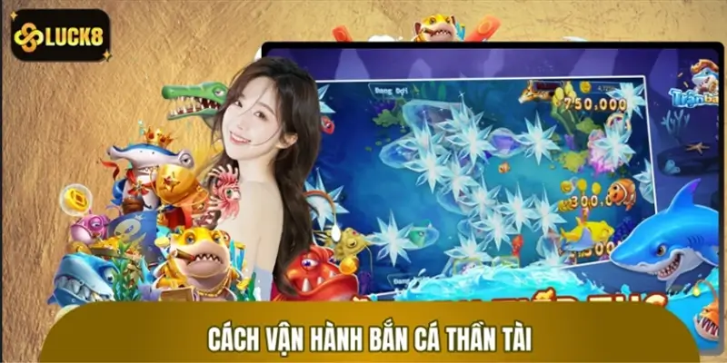 Quy tắc vận hành ngư trường săn thưởng bắn cá Thần Tài Quy tắc vận hành ngư trường săn thưởng bắn cá Thần Tài